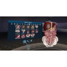 3D Organon VR for your Standalone VR headset | Premium