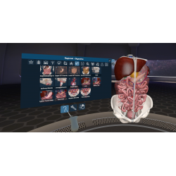 3D Organon XR | Premium