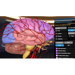 3D Organon XR | Premium