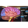 3D Organon XR | Premium