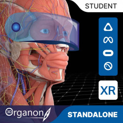 3D Organon VR Anatomy for your Standalone VR headset | Standard