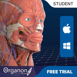 3D Organon Anatomy for Students