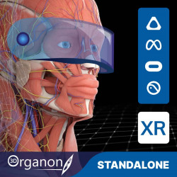 3D Organon VR Anatomy for your Standalone VR headset | Standard