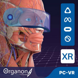 3D Organon VR Anatomy | Estándar