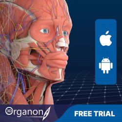 3D Organon for your mobile | Standard