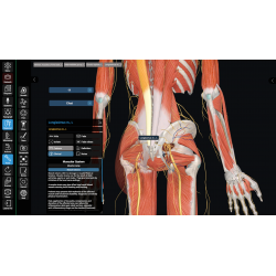 3D Organon Anatomy for Professionals