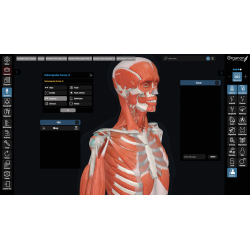 3D Organon for Professionals