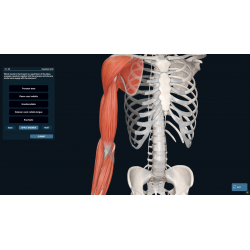 3D Organon Anatomy for Professionals