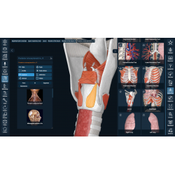 3D Organon for Professionals