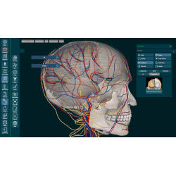 3D Organon Anatomy for Professionals