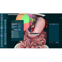 3D Organon Anatomy for Professionals
