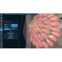 3D Organon Anatomy for Professionals