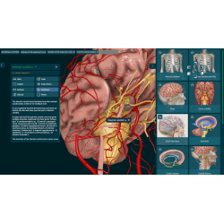 3D Organon Anatomy for Professionals
