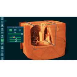3D Organon Anatomy for Professionals