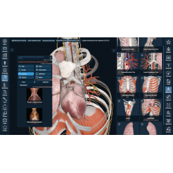 3D Organon for Professionals