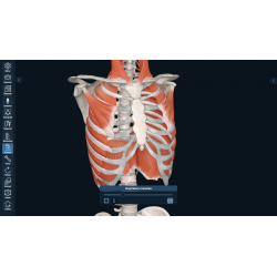 3D Organon VR Anatomy for your Standalone VR headset | Standard