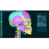 3D Organon VR Anatomy for your Standalone VR headset | Standard