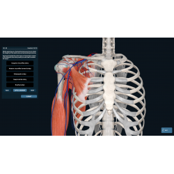 3D Organon for your mobile | Standard