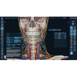 3D Organon VR Anatomy for your Standalone VR headset | Standard