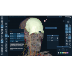 3D Organon for your mobile | Standard