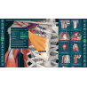 3D Organon VR Anatomy for your Standalone VR headset | Standard