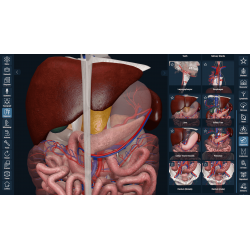 3D Organon for your mobile | Standard