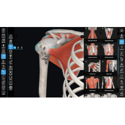 3D Organon VR Anatomy for your Standalone VR headset | Standard