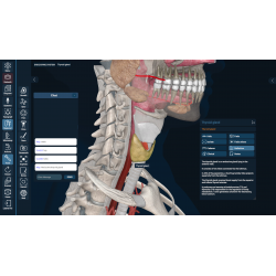 3D Organon for Students