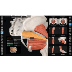 3D Organon Anatomy for Students