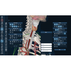3D Organon Anatomy for Students
