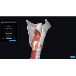 3D Organon Anatomy for Students