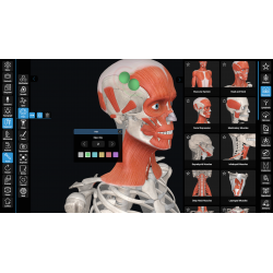 3D Organon Anatomy for Students