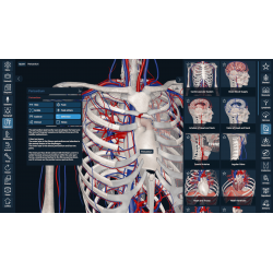 3D Organon for Students