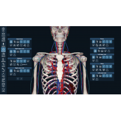 3D Organon for Students
