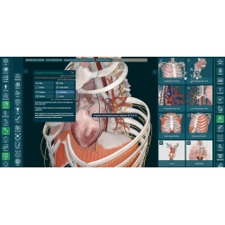 3D Organon Anatomy for Students