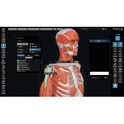 3D Organon Anatomy for Students