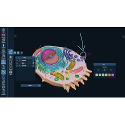 3D Organon for Students