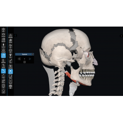 3D Organon for Students