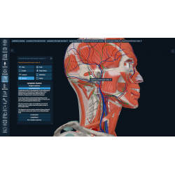 3D Organon Anatomy for Students