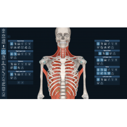 3D Organon for Students