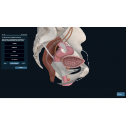 3D Organon for Students