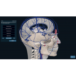 3D Organon Anatomy for Students