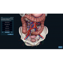 3D Organon for Students