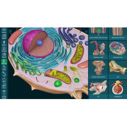 3D Organon for Students