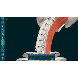 3D Organon Anatomy for Students