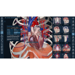 3D Organon VR Anatomy for your Standalone VR headset | Standard
