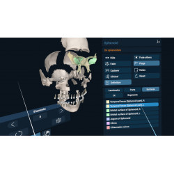 3D Organon XR for your Standalone VR headset | Standard