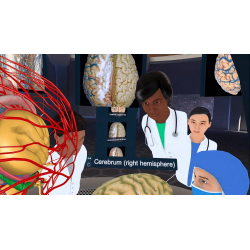 3D Organon XR | Standard