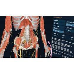 3D Organon XR | Standard