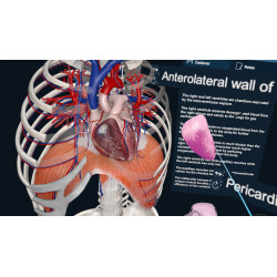 3D Organon XR | Standard